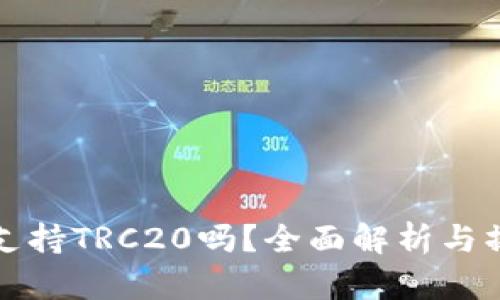 TP钱包支持TRC20吗？全面解析与操作指南