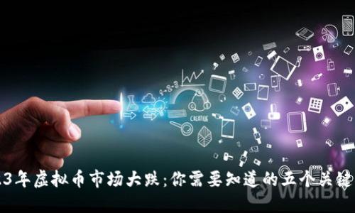 2023年虚拟币市场大跌:你需要知道的五个关键因素