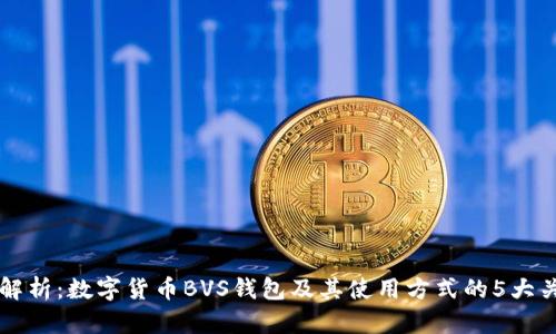 深度解析:数字货币BVS钱包及其使用方式的5大关键点
