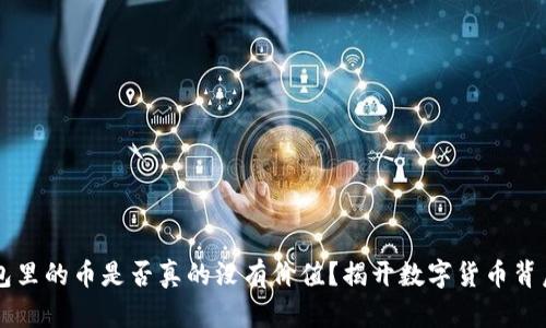 虚拟钱包里的币是否真的没有价值?揭开数字货币背后的真相