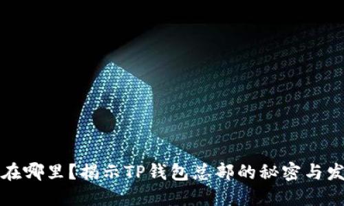 TP钱包在哪里？揭示TP钱包总部的秘密与发展历程