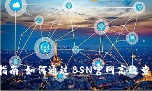 2023年全面指南:如何通过BSN官网高效查询区块链信息