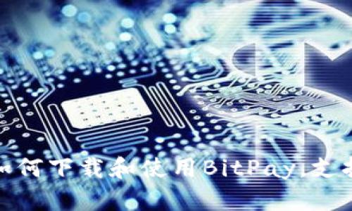 2023年完整指南：如何下载和使用BitPay，支持多种加密货币交易
