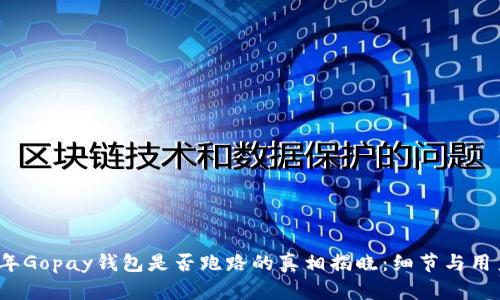 2023年Gopay钱包是否跑路的真相揭晓：细节与用户回馈