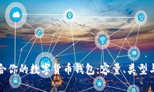 如何选择适合你的数字货币钱包：容量、类型与安全性分析