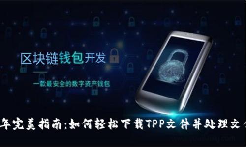 2023年完美指南：如何轻松下载TPP文件并处理文件格式