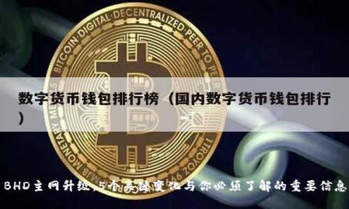 BHD主网升级：5个关键变化与你必须了解的重要信息