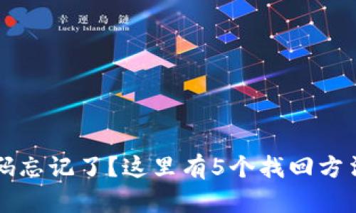 TP钱包交易密码忘记了？这里有5个找回方法帮你轻松解决